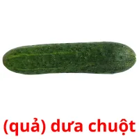 (quả) dưa chuột flashcards illustrate