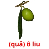 (quả) ô liu flashcards illustrate