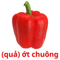 (quả) ớt chuông flashcards illustrate