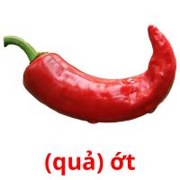 (quả) ớt picture flashcards