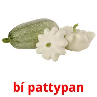 bí pattypan flashcards illustrate