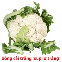 bông cải trắng (súp lơ trắng) flashcards illustrate