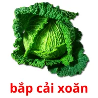 bắp cải xoăn flashcards illustrate