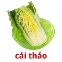 cải thảo picture flashcards