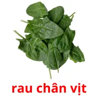 rau chân vịt flashcards illustrate