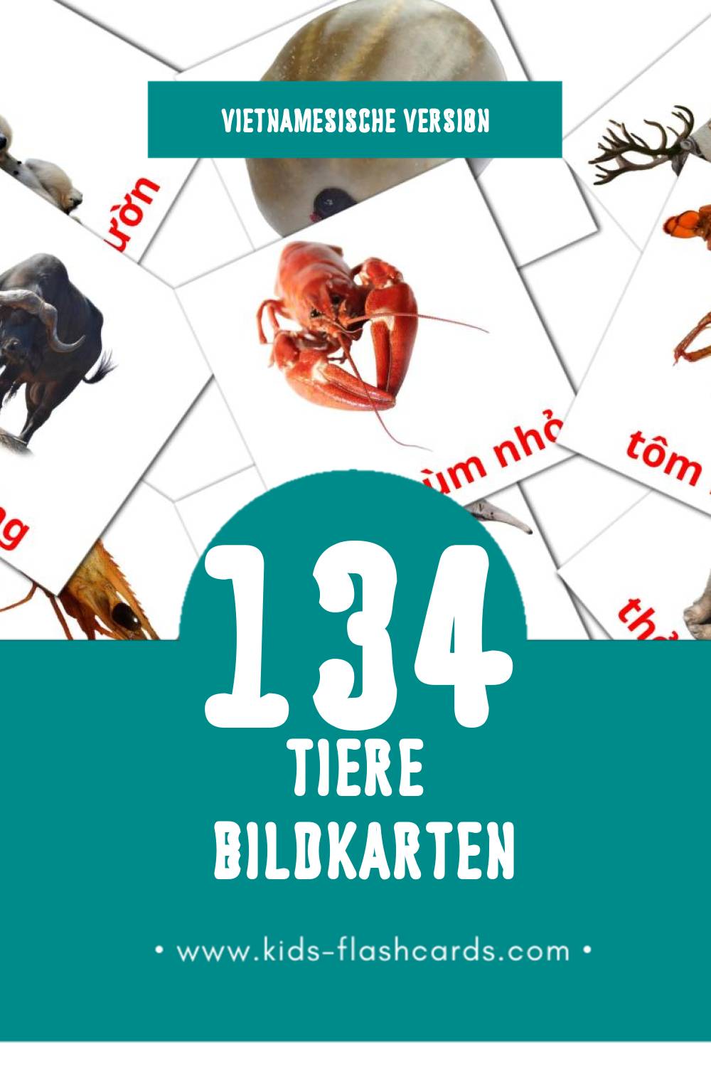 Visual động vật Flashcards für Kleinkinder (134 Karten in Vietnamesisch)