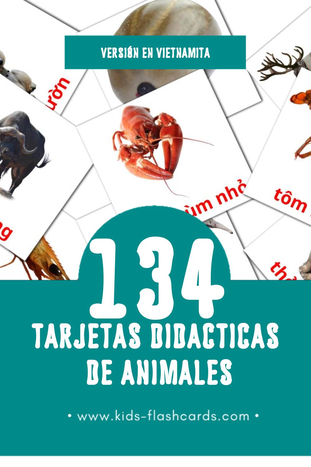Tarjetas visuales de động vật para niños pequeños (134 tarjetas en Vietnamita)