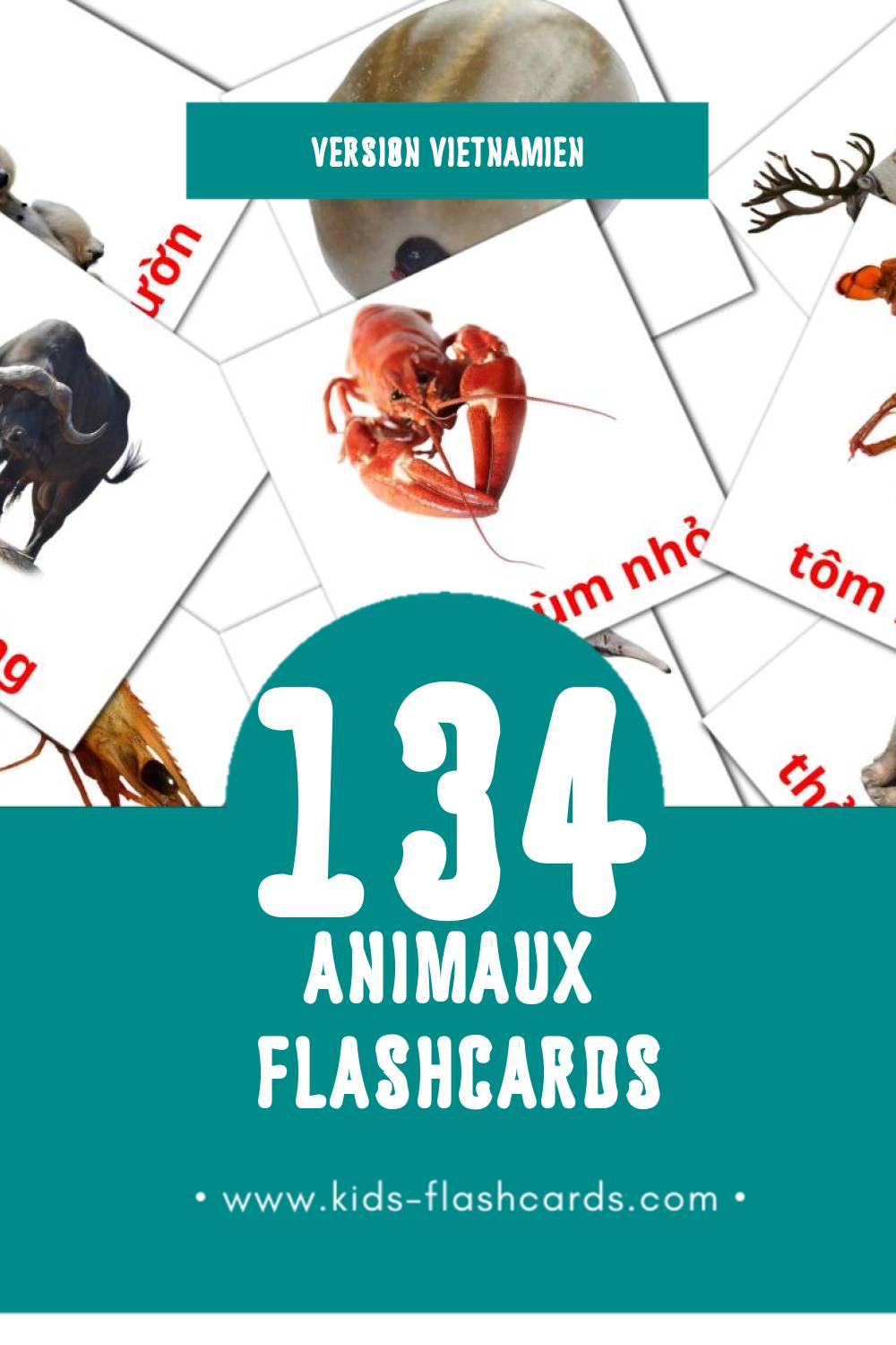 Flashcards Visual động vật pour les tout-petits (134 cartes en Vietnamien)