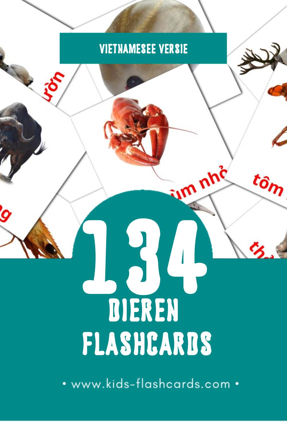 Visuele động vật Flashcards voor Kleuters (134 kaarten in het Vietnamese)