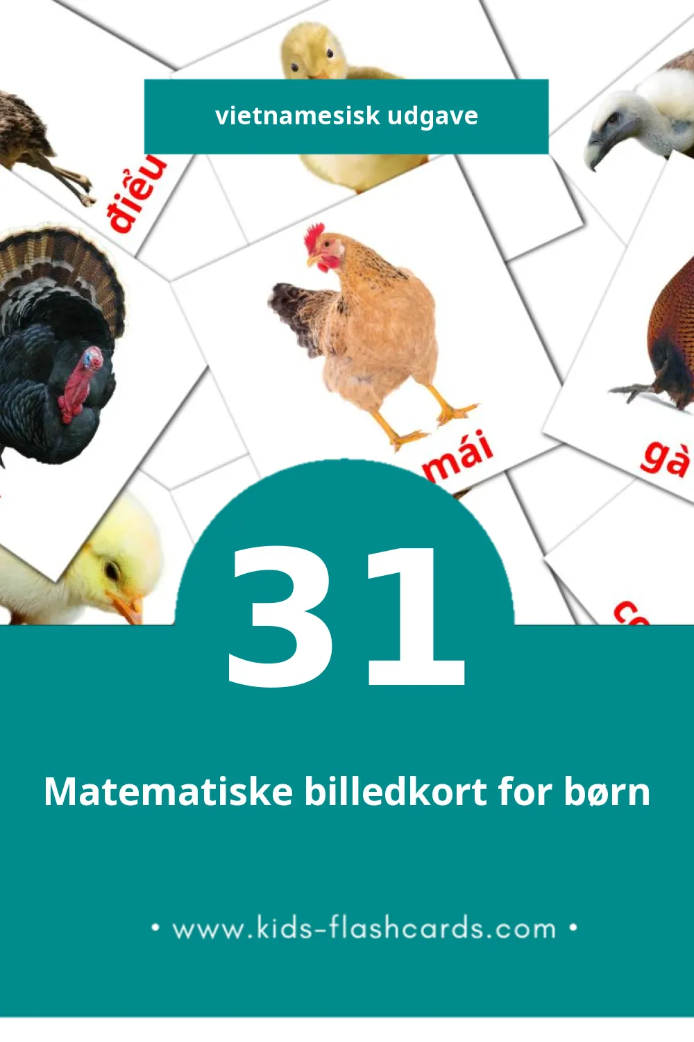 Visuelle billedkort for børn om Kiên til småbørn (31 kort på Vietnamesisk)