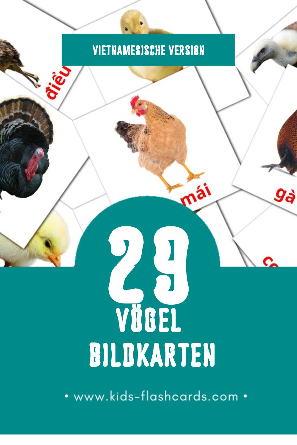 Visual Kiên Flashcards für Kleinkinder (29 Karten in Vietnamesisch)
