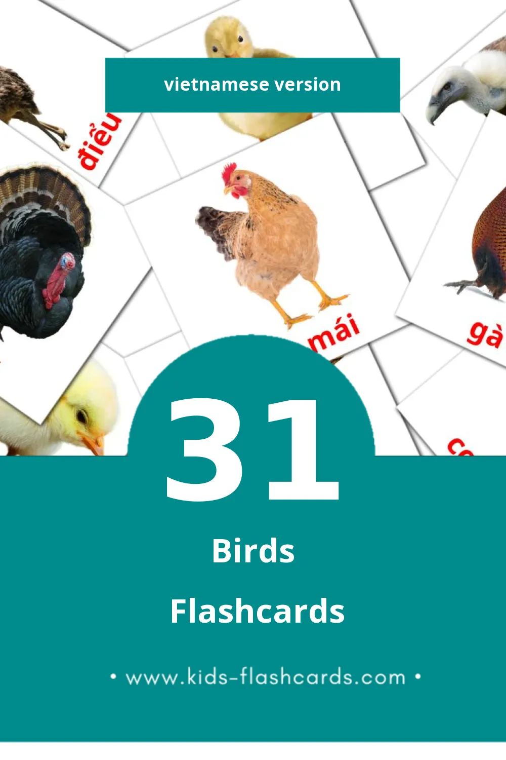 Visual Kiên Flashcards for Toddlers (31 cards in Vietnamese)