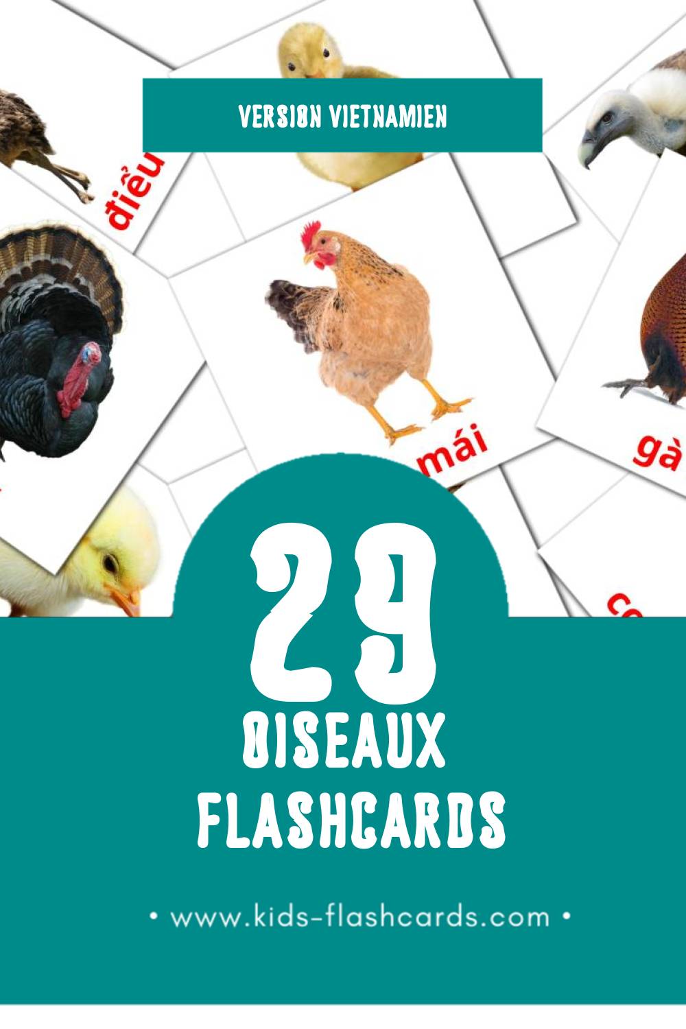 Flashcards Visual Kiên pour les tout-petits (29 cartes en Vietnamien)