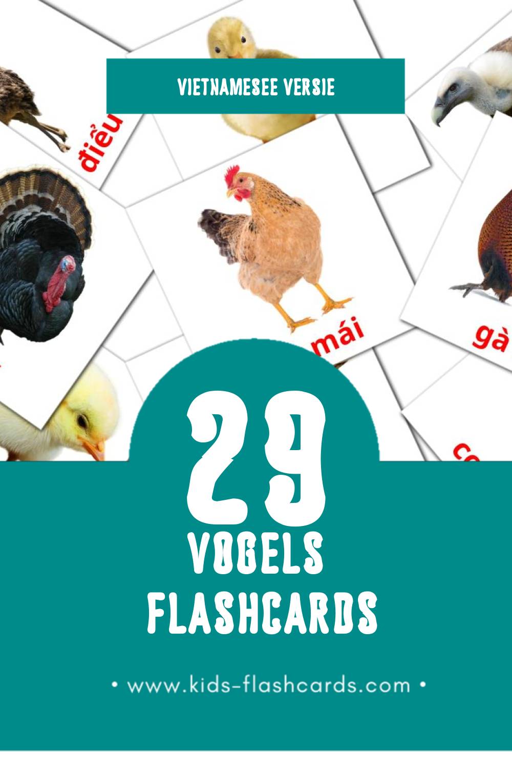 Visuele Kiên Flashcards voor Kleuters (29 kaarten in het Vietnamese)