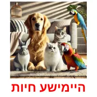 היימישע חיות picture flashcards