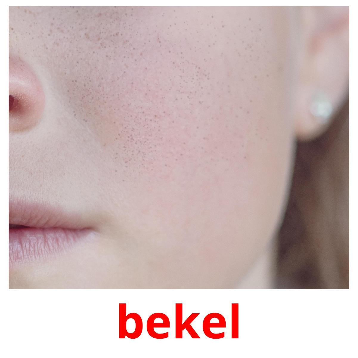 bekel ansichtkaarten