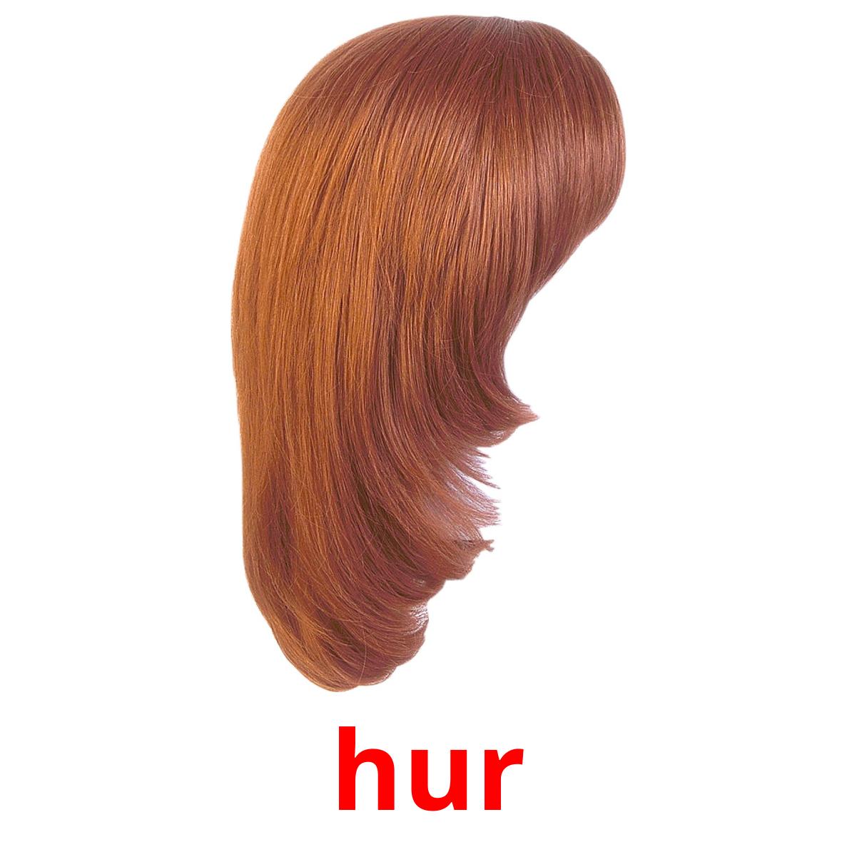 hur hur picture flashcards