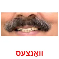וואָנצעס ansichtkaarten