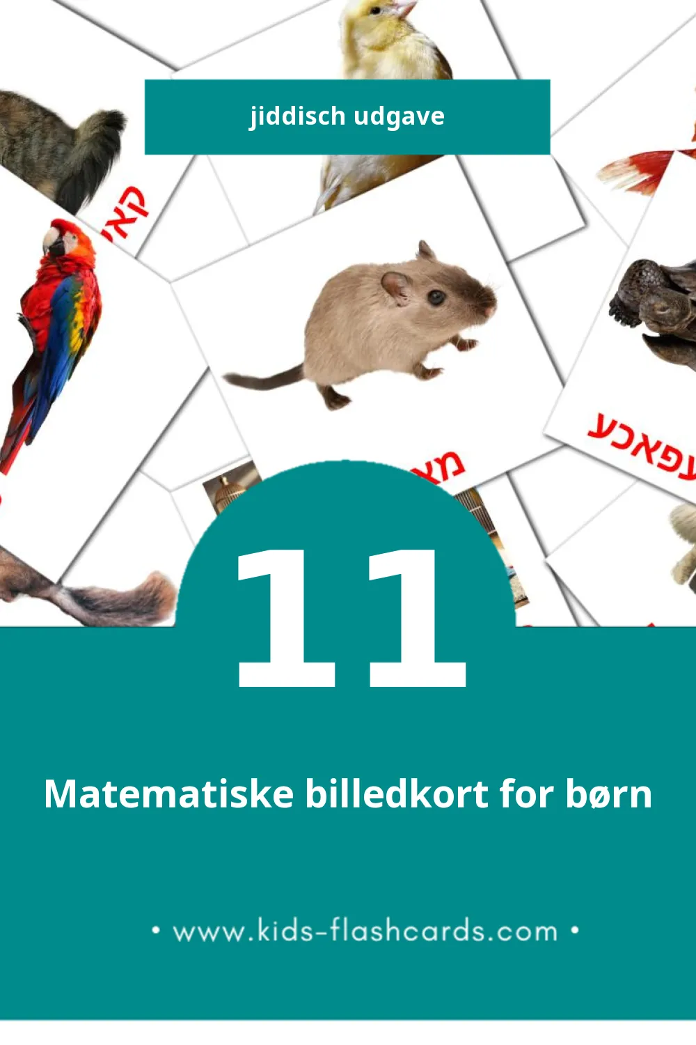 Visuelle billedkort for børn om חיות til småbørn (11 kort på Jiddisch)