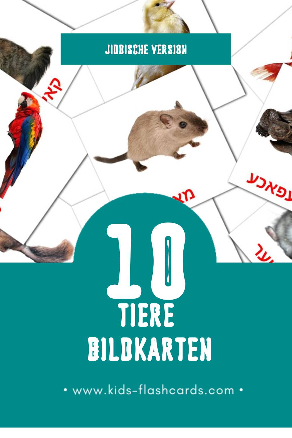 Visual חיות Flashcards für Kleinkinder (10 Karten in Jiddisch)