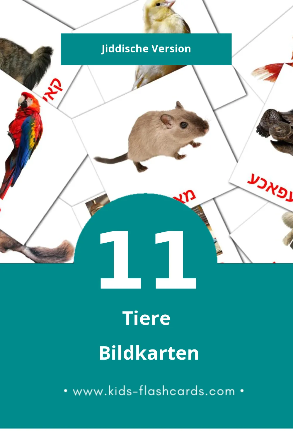 Visual חיות Flashcards für Kleinkinder (11 Karten in Jiddisch)