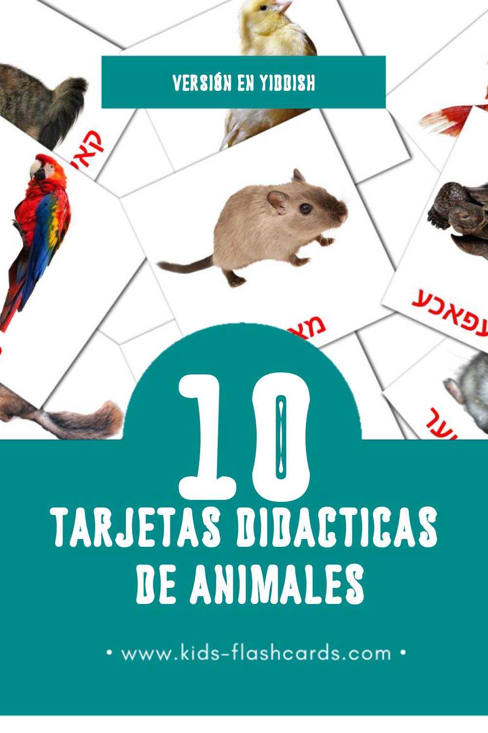 Tarjetas visuales de חיות para niños pequeños (10 tarjetas en Yiddish)