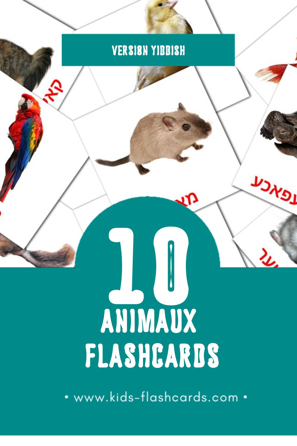 Flashcards Visual חיות pour les tout-petits (10 cartes en Yiddish)