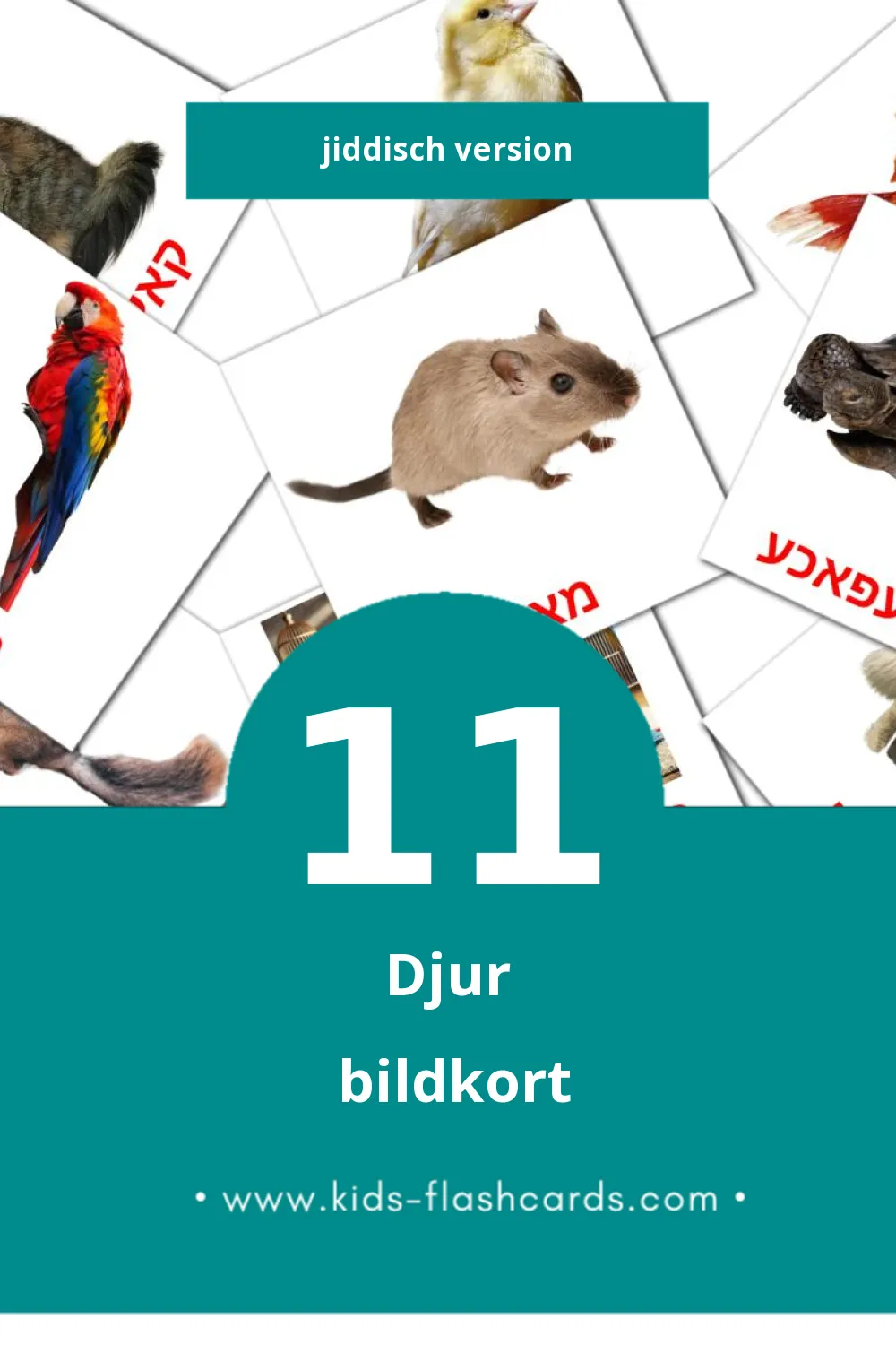 Visuella חיות för småbarn (11 bildkort för barn på Jiddisch)