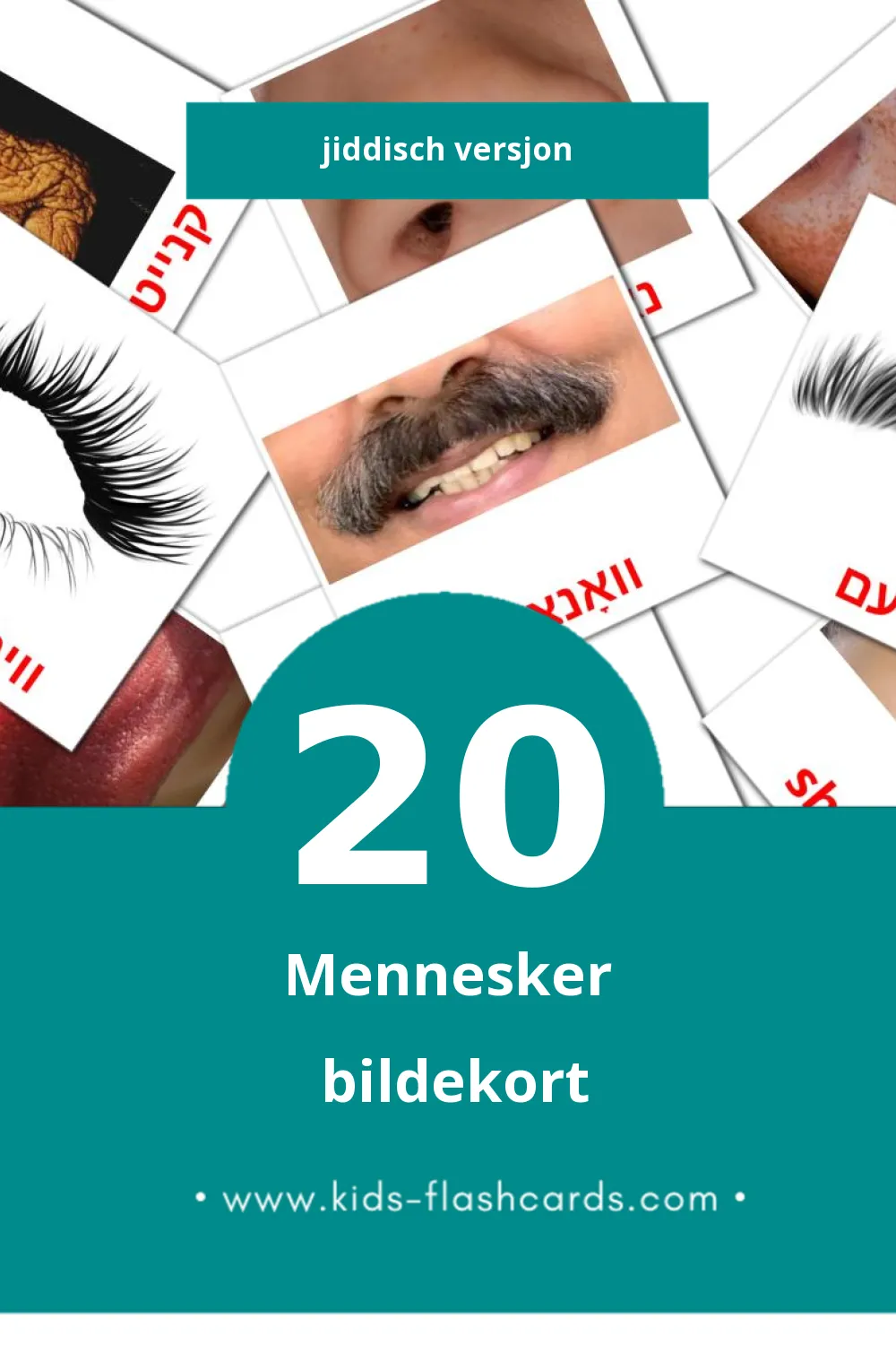 Visuelle Mentchen bildekort for småbarn (20 kort på Jiddisch)