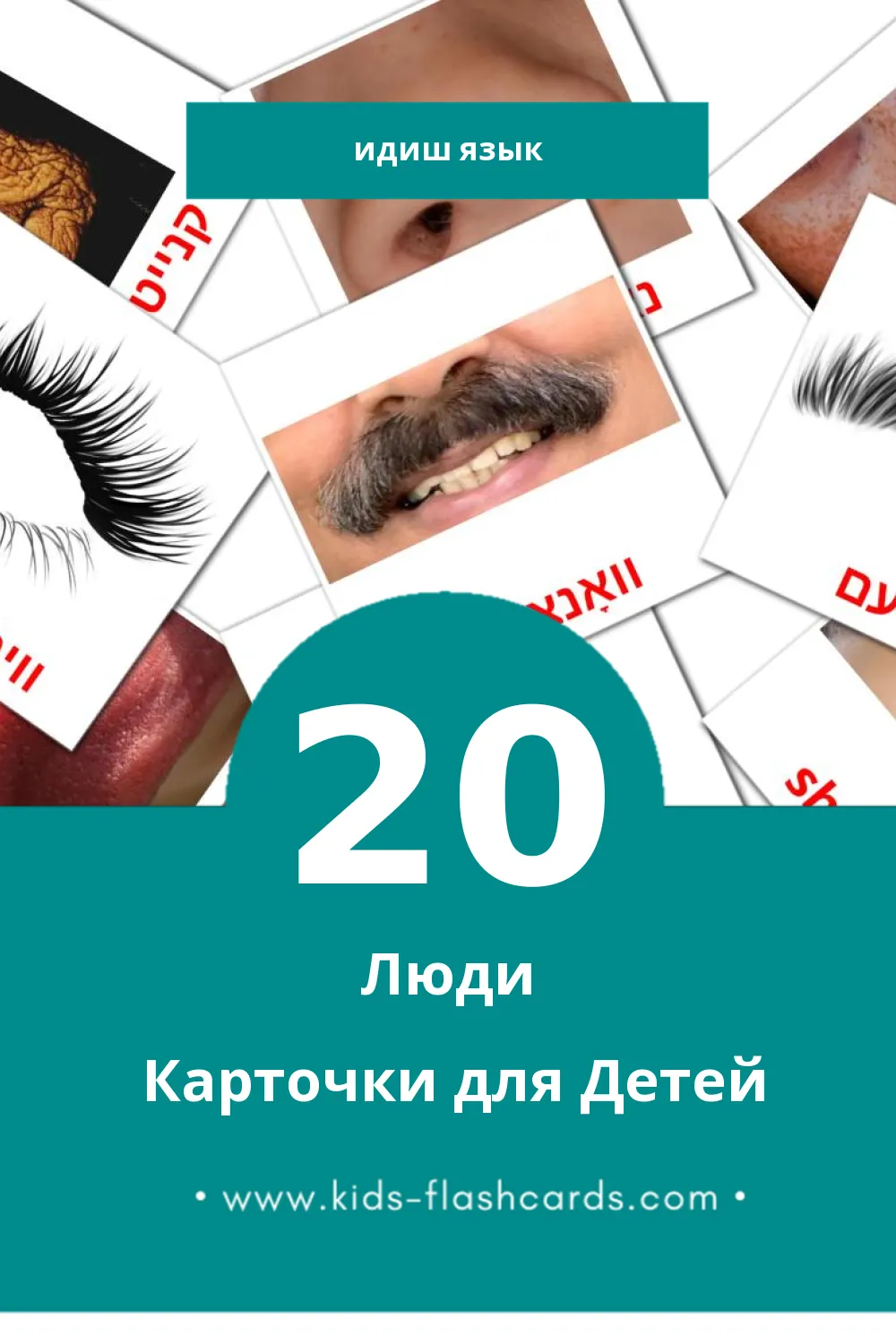 "Mentchen" - Визуальный Идиш Словарь для Малышей (20 картинок)