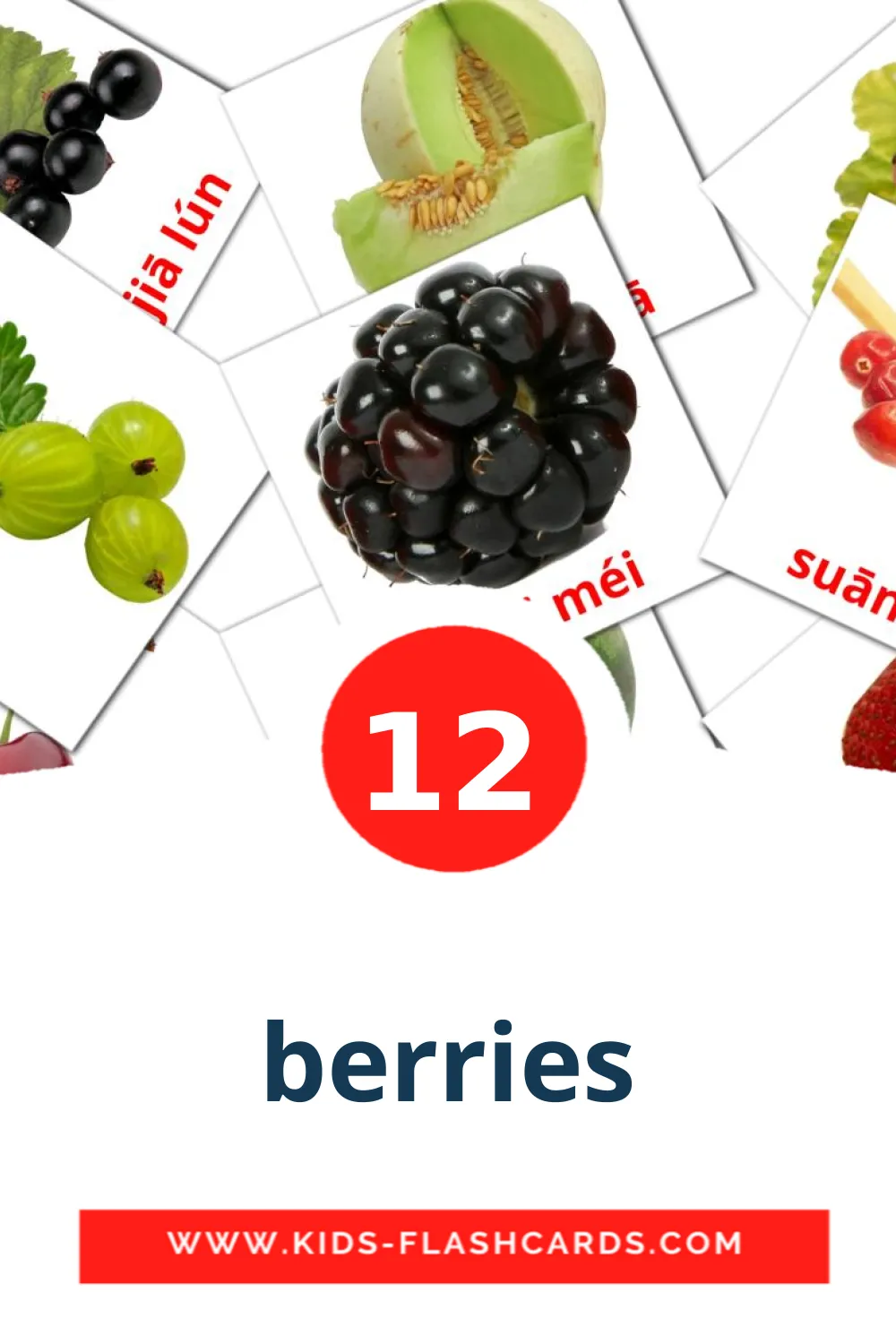12 Cartões com Imagens de berries para Jardim de Infância em pinyin