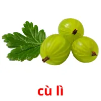cù lì cartões com imagens
