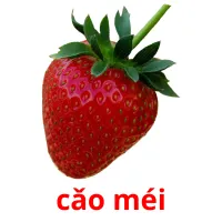 cǎo méi cartões com imagens