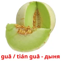 guā / tián guā - дыня bildkort för barn