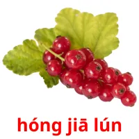 hóng jiā lún cartões com imagens