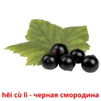 hēi cù lì - черная смородина bildkort för barn