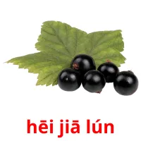 hēi jiā lún cartões com imagens
