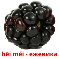 hēi méi - ежевика bildkort för barn