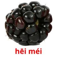 hēi méi cartões com imagens