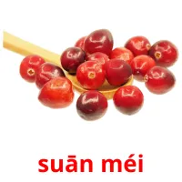 suān méi cartões com imagens