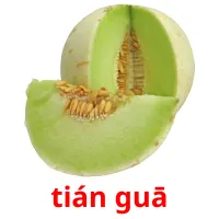 tián guā cartões com imagens