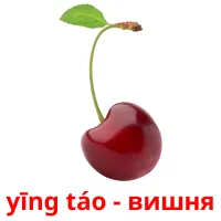 yīng táo - вишня bildkort för barn