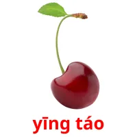 yīng táo cartões com imagens