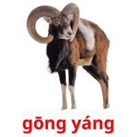gōng yáng picture flashcards