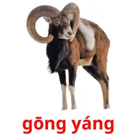 gōng yáng ansichtkaarten