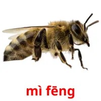 mì fēng ansichtkaarten