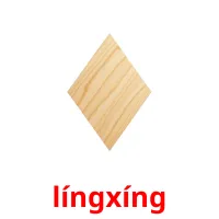 língxíng picture flashcards