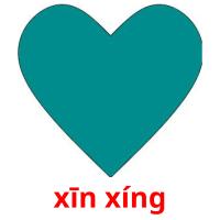 xīn xíng picture flashcards