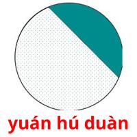 yuán hú duàn Bildkarteikarten