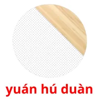 yuán hú duàn picture flashcards